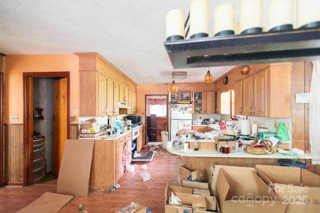 4739 US-23 Hwy, Mars Hill, NC 28754 - kitchen featuring freestanding refrigerator, light countertops, wood finished floors, under cabinet range hood, and a peninsula