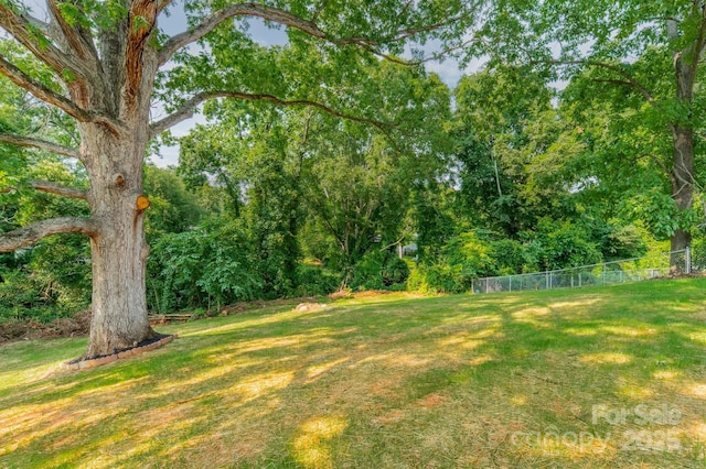 3608 Crestridge Dr, Charlotte, NC 28217 - view of yard