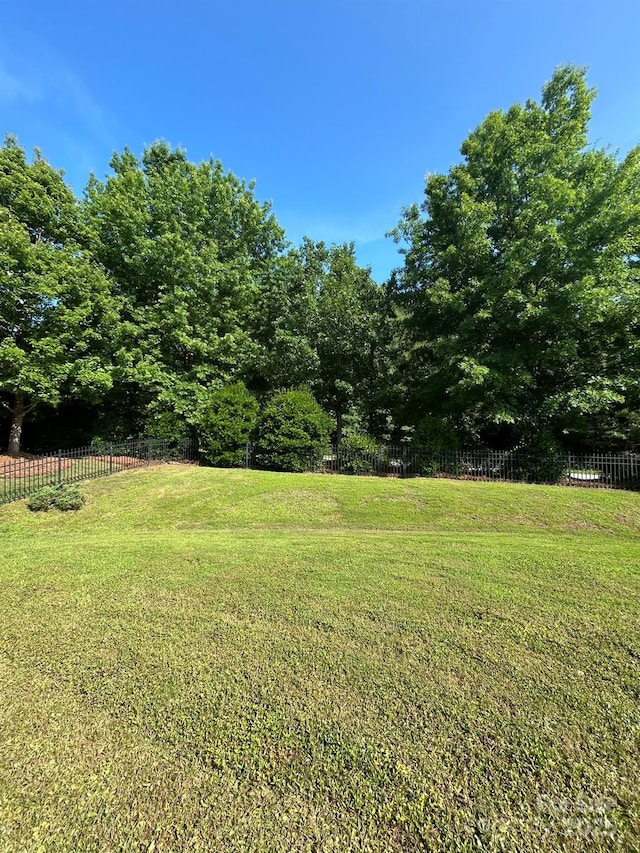 1304 Ridge Haven Rd, Waxhaw, NC 28173 - view of yard
