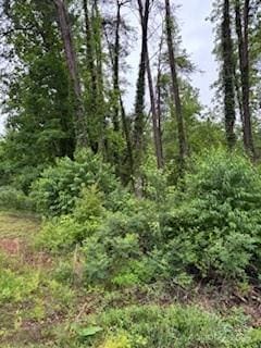 0000 Heathwood Ln Unit 32, Franklin, NC 28734