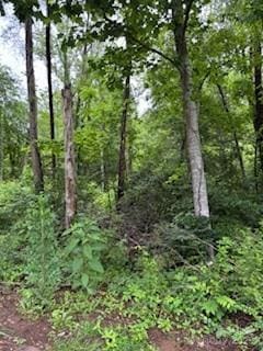 0000 Heathwood Ln Unit 32, Franklin, NC 28734