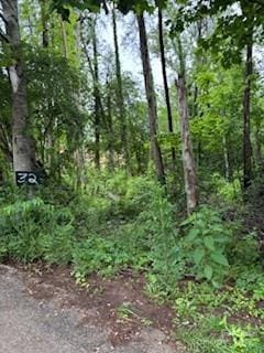 0000 Heathwood Ln Unit 32, Franklin, NC 28734