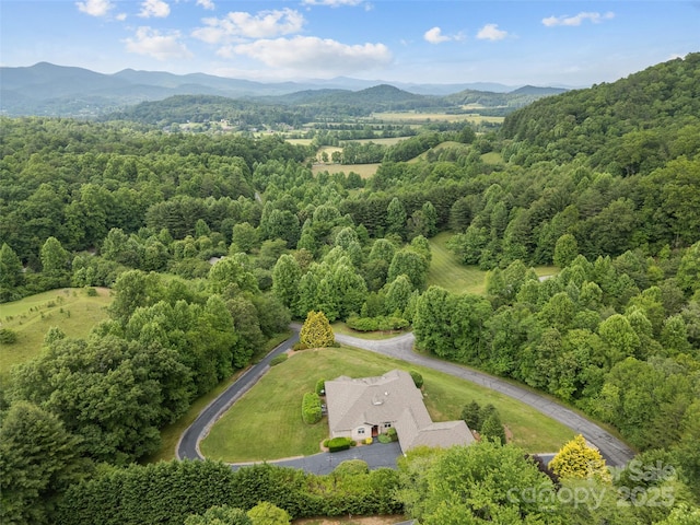 110 Walnut Hills Dr, Brevard, NC 28712 - photo 2