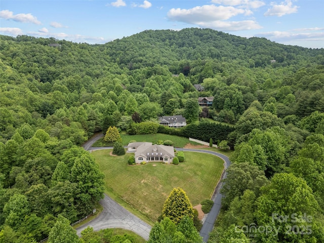 110 Walnut Hills Dr, Brevard, NC 28712 - photo 3