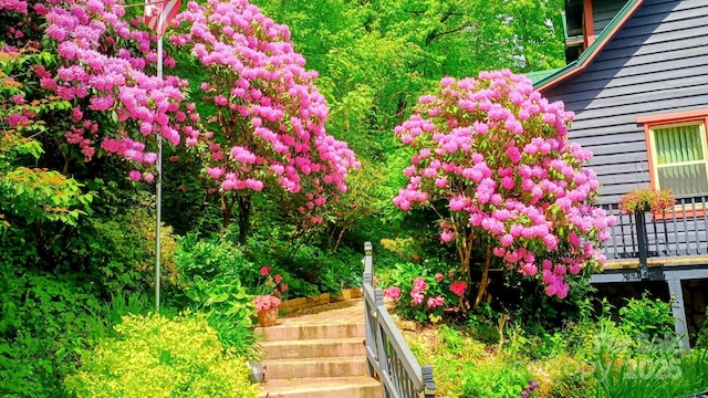 2981 Heath Peak Rd, Waynesville, NC 28785 - view of yard with stairs