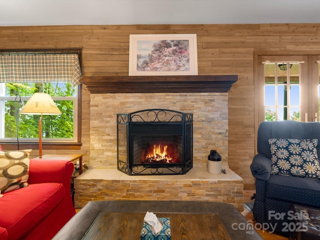 2981 Heath Peak Rd, Waynesville, NC 28785 - living area with a warm lit fireplace and wood walls