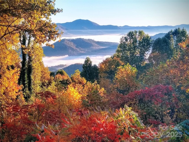 2981 Heath Peak Rd, Waynesville, NC 28785 - view of mountain backdrop