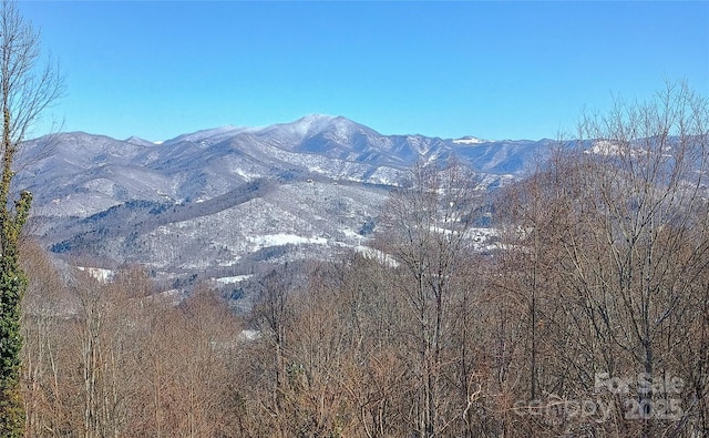2981 Heath Peak Rd, Waynesville, NC 28785 - view of mountain backdrop