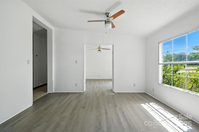 3165 Caratoke Hwy, Currituck, NC 27929 - photo 20
