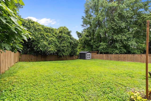 5008 Unaka Ave, Charlotte, NC 28205 - fenced backyard featuring a storage shed