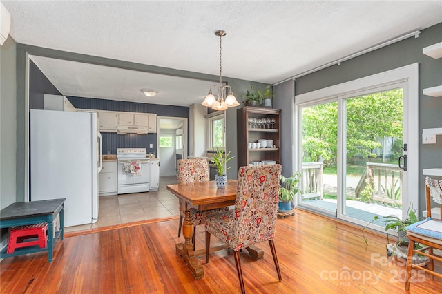 10 Poplar St, Waynesville, NC 28786 - dining room featuring a chandelier, plenty of natural light, light wood-style floors, and a textured ceiling