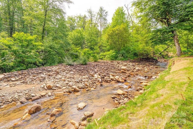 2143 Pisgah Hwy, Candler, NC 28715 - photo 28