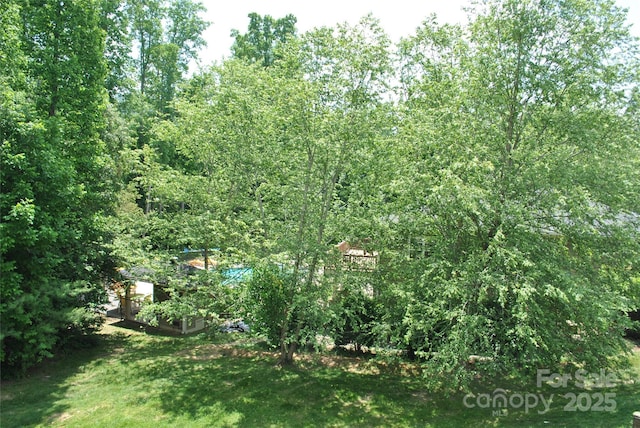 20 Foxden Dr Unit 203, Fletcher, NC 28732 - view of local wilderness