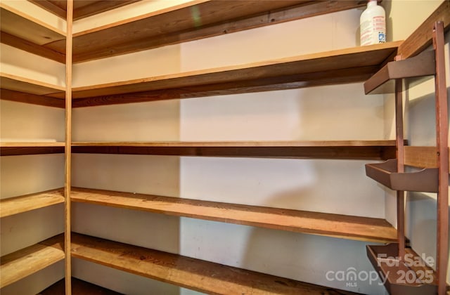 41 Balsam Shadows Rd, Maggie Valley, NC 28751 - view of pantry