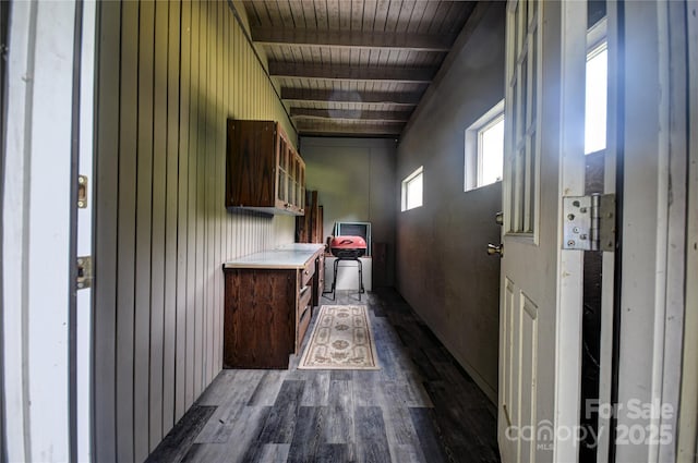 41 Balsam Shadows Rd, Maggie Valley, NC 28751 - hallway featuring dark wood-style flooring, wood ceiling with exposed beams, and wooden walls