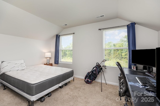 218 Canina Ln, Indian Trail, NC 28079 - bedroom with lofted ceiling, carpet flooring, multiple windows, and baseboards