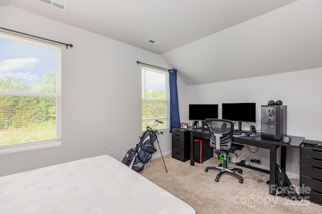 218 Canina Ln, Indian Trail, NC 28079 - bedroom featuring carpet, lofted ceiling, an office area, and baseboards