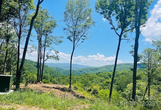 0 Lee Gualtney Rd Unit 15, Banner Elk, NC 28604