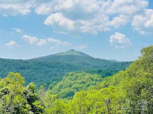 0 Lee Gualtney Rd Unit 15, Banner Elk, NC 28604