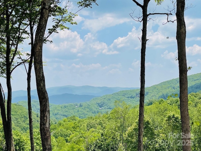 0 Lee Gualtney Rd Unit 15, Banner Elk, NC 28604
