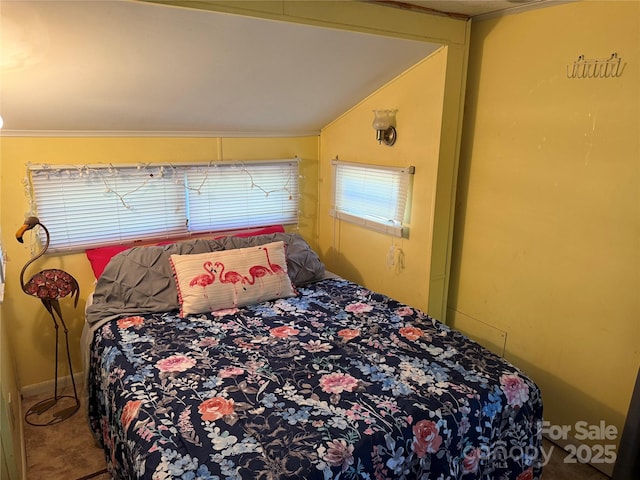 104 Deer Park Rd Unit D143, Mount Gilead, NC 27306 - bedroom featuring lofted ceiling