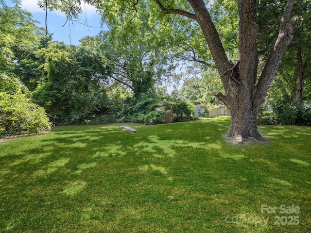 144 Walnut St, Chester, SC 29706 - view of grassy yard