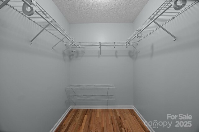 449 Concord Rd, Fletcher, NC 28732 - walk in closet with wood finished floors