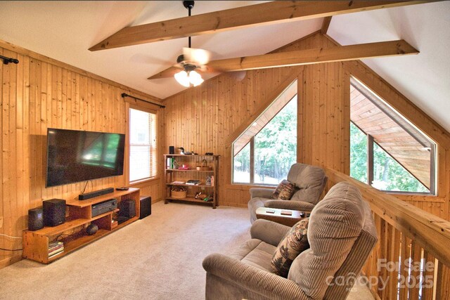 248 Cross Creek Dr, Rutherfordton, NC 28139 - photo 14