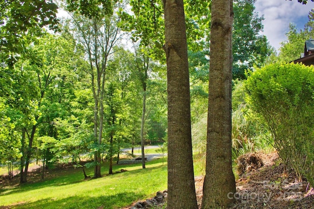 248 Cross Creek Dr, Rutherfordton, NC 28139 - photo 29