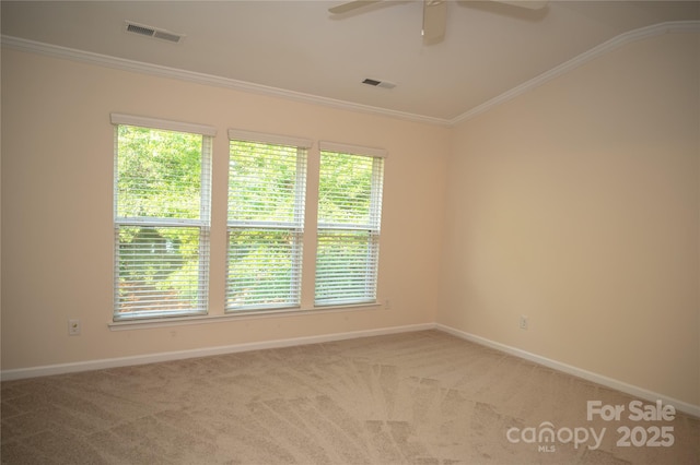 10433 Blairbeth St, Charlotte, NC 28277 - photo 31