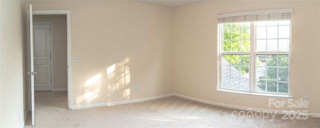 10433 Blairbeth St, Charlotte, NC 28277 - photo 37