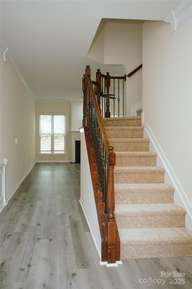 10433 Blairbeth St, Charlotte, NC 28277 - photo 40