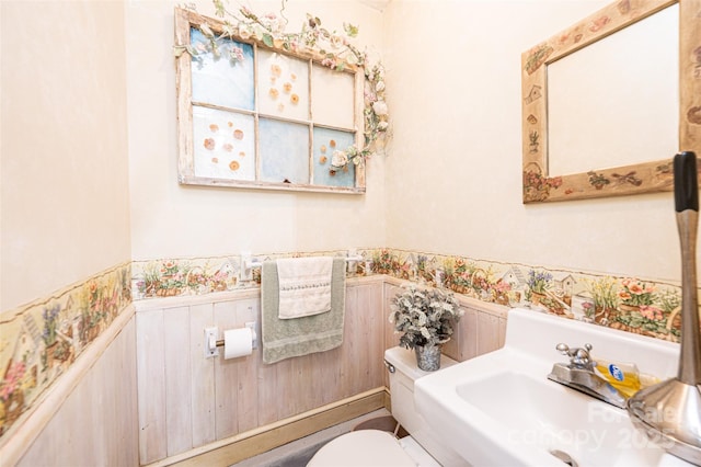 377 Birch Circle Dr, Hudson, NC 28638 - half bathroom featuring toilet and wainscoting