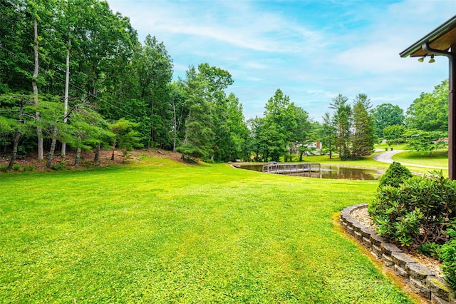 377 Birch Circle Dr, Hudson, NC 28638 - view of grassy yard