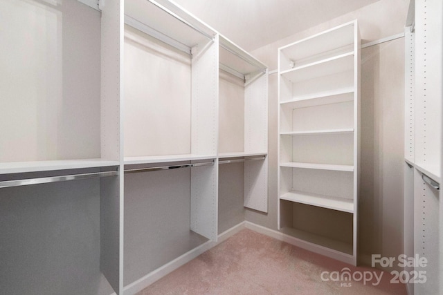 22501 John Gamble Rd, Cornelius, NC 28031 - photo 23