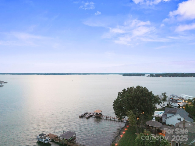 22501 John Gamble Rd, Cornelius, NC 28031 - photo 48