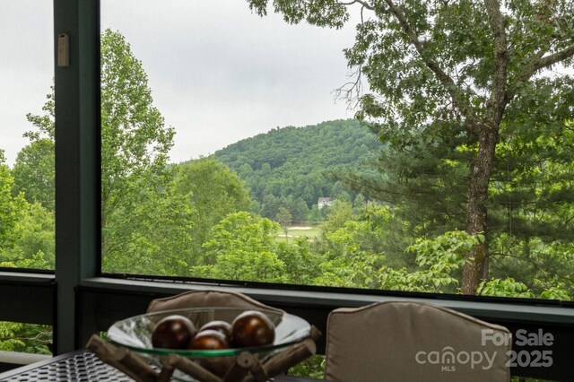 104 Sunny View Ln, Flat Rock, NC 28739 - photo 9