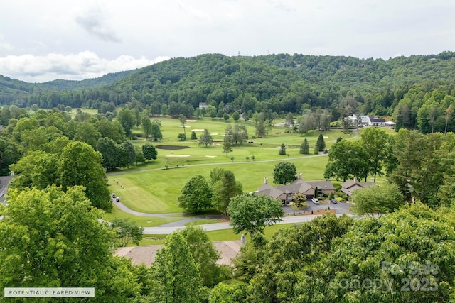 104 Sunny View Ln, Flat Rock, NC 28739 - photo 10