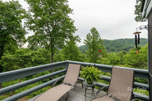 104 Sunny View Ln, Flat Rock, NC 28739 - photo 24