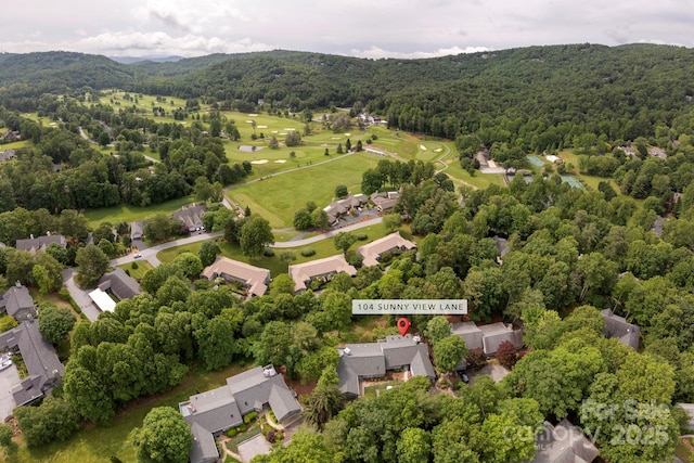 104 Sunny View Ln, Flat Rock, NC 28739 - photo 42