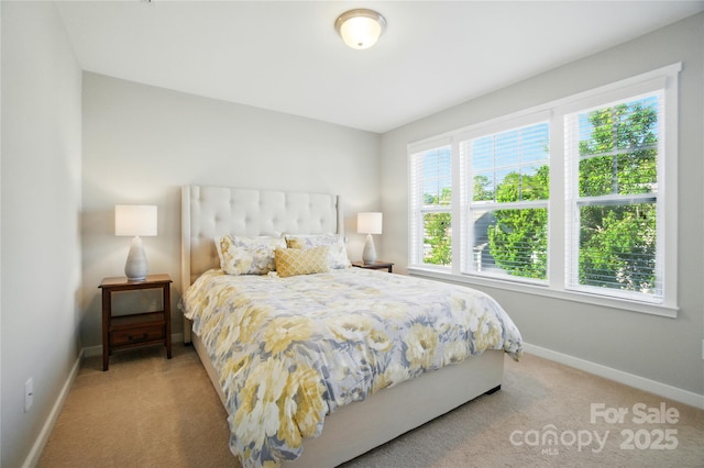 2246 Bluebell Way, Tega Cay, SC 29708 - bedroom with baseboards and light carpet