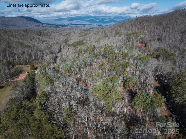 0 E H Bailey Rd, Bryson City, NC 28713 - photo 1