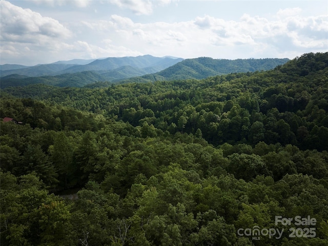 0 E H Bailey Rd, Bryson City, NC 28713 - photo 2
