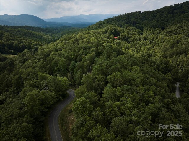0 E H Bailey Rd, Bryson City, NC 28713 - photo 4