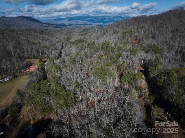 0 E H Bailey Rd, Bryson City, NC 28713 - photo 5