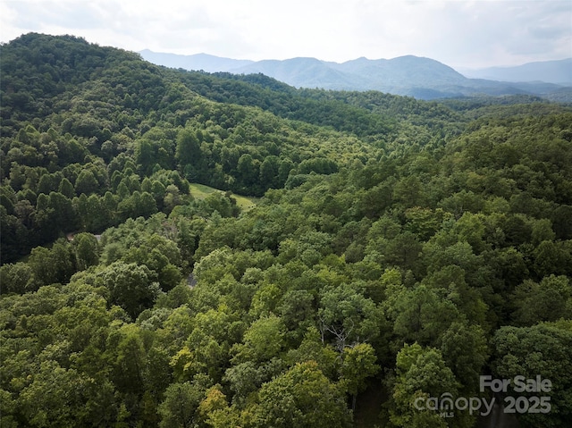 0 E H Bailey Rd, Bryson City, NC 28713 - photo 6