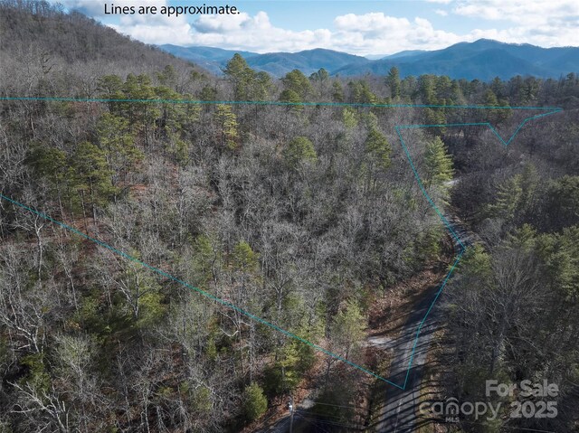 0 E H Bailey Rd, Bryson City, NC 28713 - photo 7