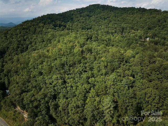 0 E H Bailey Rd, Bryson City, NC 28713 - photo 9