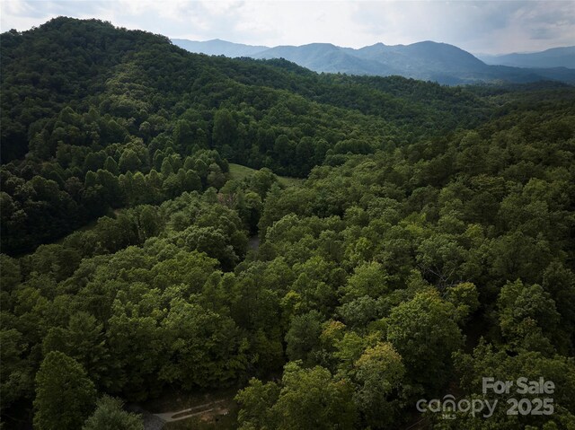 0 E H Bailey Rd, Bryson City, NC 28713 - photo 11