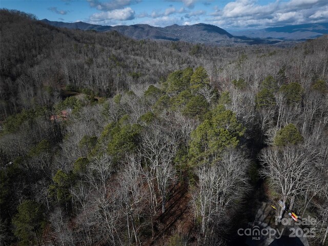 0 E H Bailey Rd, Bryson City, NC 28713 - photo 12